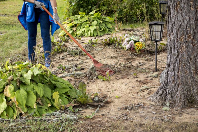 Post-Project Land Clearing