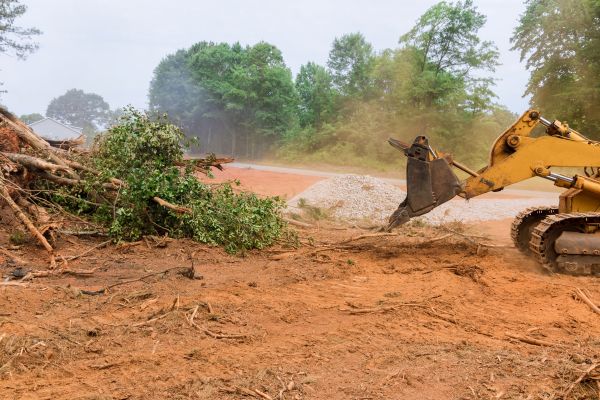 Ground Clearing in Coeur D Alene