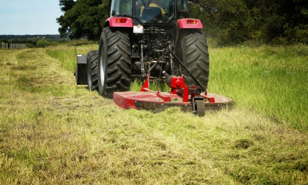 Brush Clearing Service in Coeur D Alene