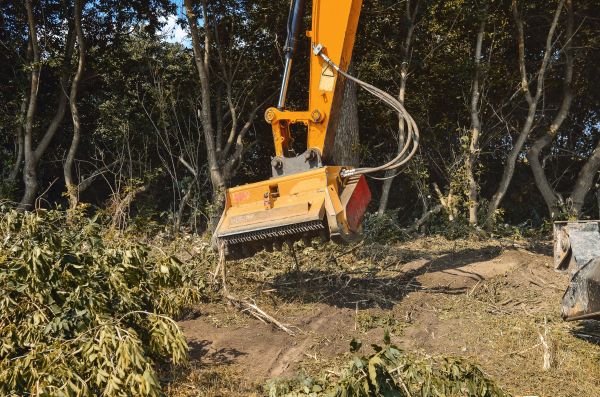 Brush Removal Service in Coeur D Alene
