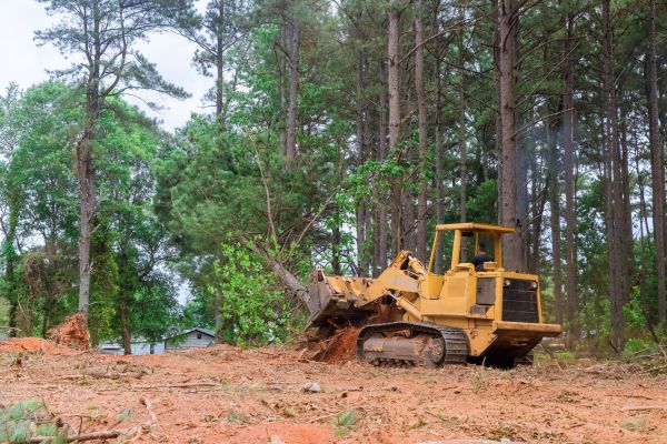 Property Clearing in Coeur D Alene
