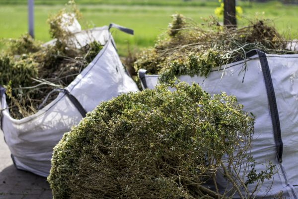 Bushes Clearing in Coeur D Alene