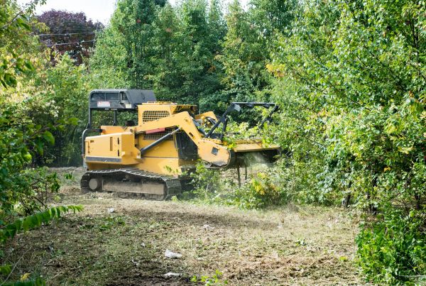 Pathway Clearing in Coeur D Alene