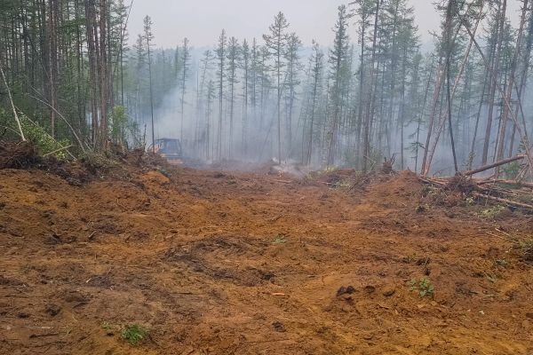 Hill Clearing in Coeur D Alene