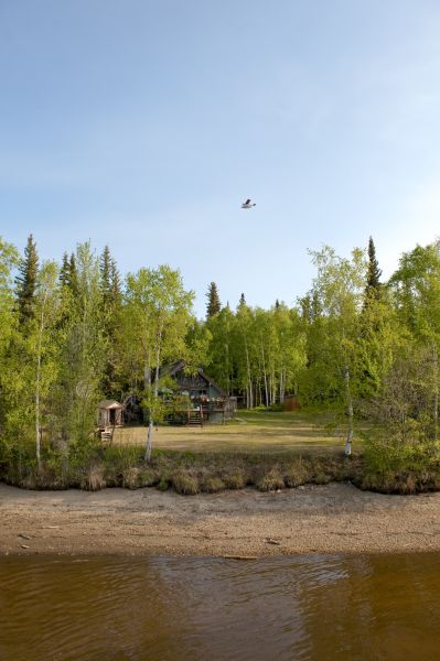 Waterfront Land Clearing in Coeur D Alene
